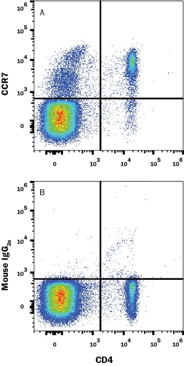 Detection of CCR7 antibody in Human PBMCs by Flow Cytomtetry.