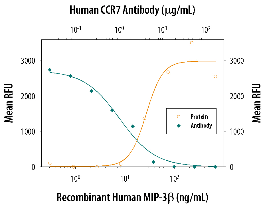 Chemotaxis Induced by CCL19/MIP‑3 beta and Neutral-ization by Human CCR7 Antibody.