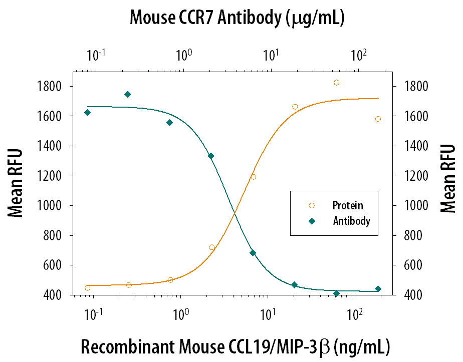 Chemotaxis Induced by CCL19/MIP-3 beta and Neutralization by Mouse CCR7 Antibody.