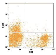 Detection of CCR8 antibody in Rat Peripheral Blood Cells antibody by Flow Cytometry.