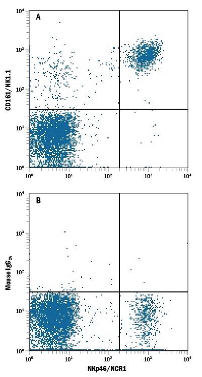 Detection of CD161/NK1.1 antibody in C57BL/6 Mouse Splenocytes antibody by Flow Cytometry.