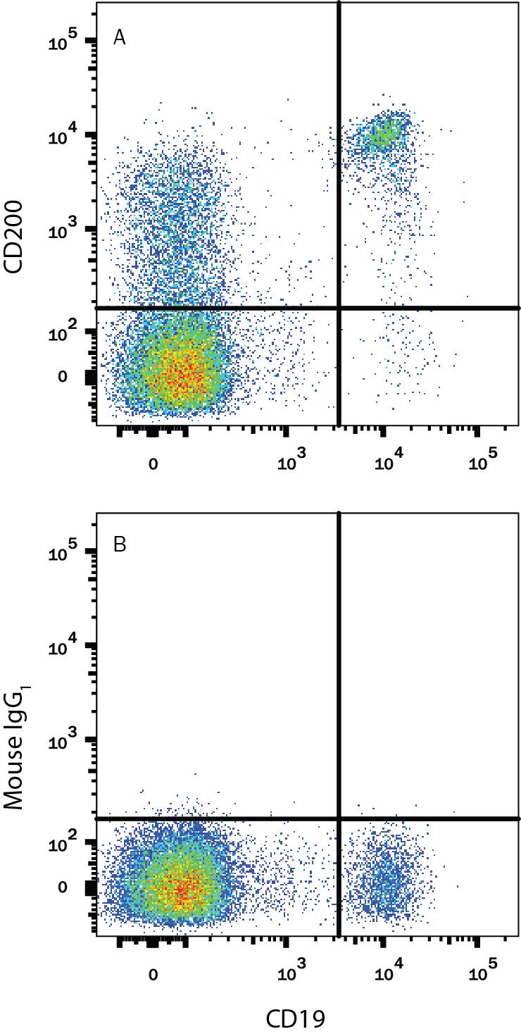 Detection of CD200 antibody in Human Blood Lymphocytes antibody by Flow Cytometry.