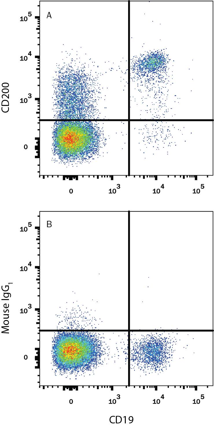 Detection of CD200 antibody in Human Blood Lymphocytes antibody by Flow Cytometry.