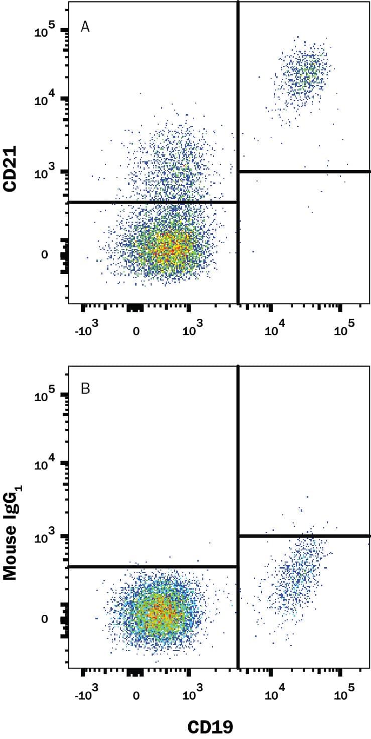 Detection of CD21 antibody in Human PBMCs antibody by Flow Cytometry.