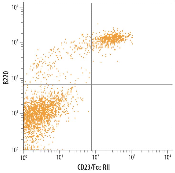 Detection of CD23/Fce RII antibody in Mouse Splenocytes antibody by Flow Cytometry.