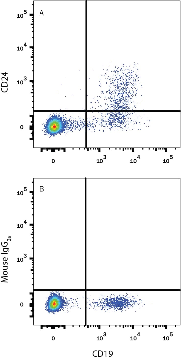 Detection of CD24 antibody in Human Blood Lymphocytes antibody by Flow Cytometry.