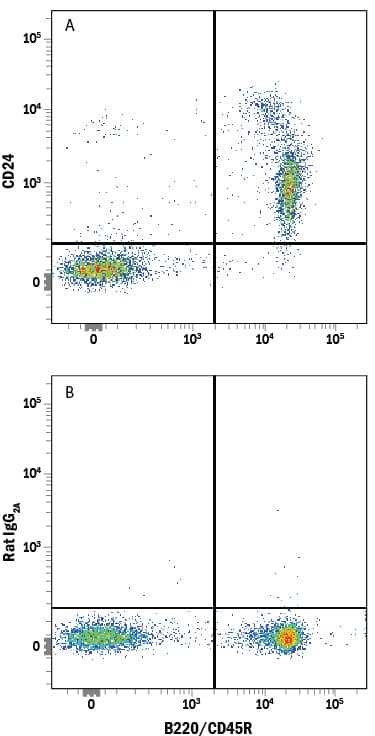 Detection of CD24 antibody in Mouse Splenocytes antibody by Flow Cytometry.