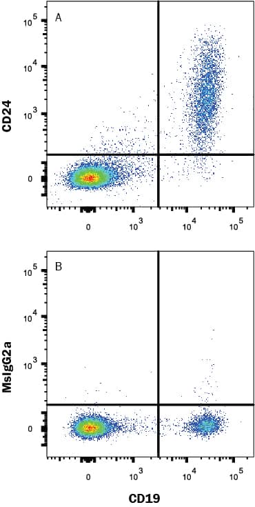 Detection of CD24 antibody in Human Blood Lymphocytes antibody by Flow Cytometry.