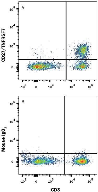 Detection of CD27/TNFRSF7 antibody in Human PBMCs antibody by Flow Cytometry.