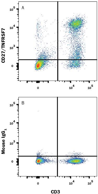 Detection of CD27/TNFRSF7 antibody in Human PBMCs antibody by Flow Cytometry.