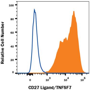 Detection of CD27Ligand/TNFSF7 antibody in THP-1 Human Cell Line antibody by Flow Cytometry.