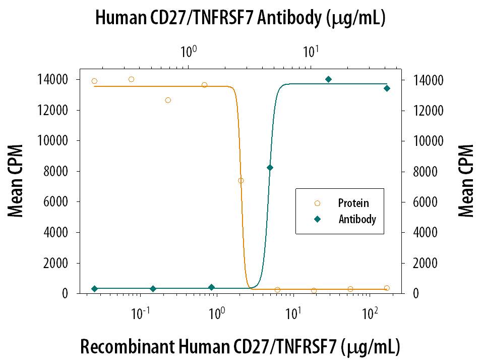 CD27/TNFRSF7 Inhibition of CD27 Ligand/TNFSF7-dependent Cell Proliferation and Neutralization by Human CD27/TNFRSF7 Antibody.