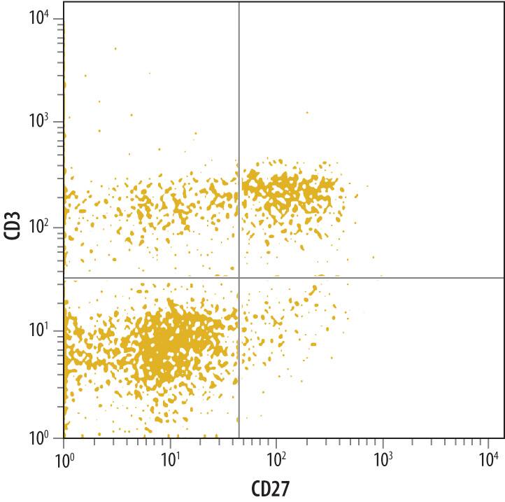 Detection of CD27/TNFRSF7 antibody in Mouse Splenocytes antibody by Flow Cytometry.