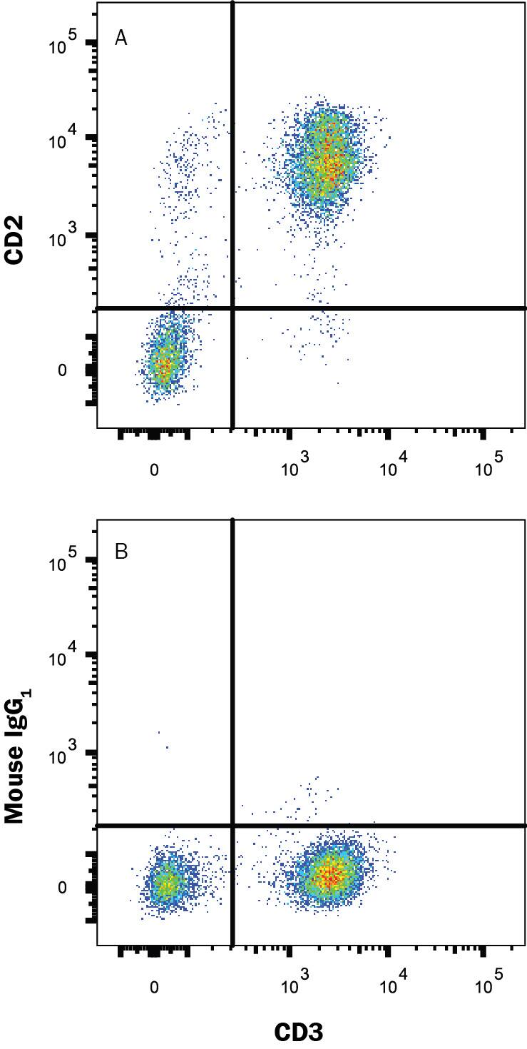 Detection of CD2 antibody in Human Blood Lymphocytes antibody by Flow Cytometry.