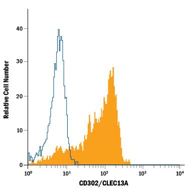 Detection of CD302/CLEC13A antibody in Human Blood Monocytes antibody by Flow Cytometry.