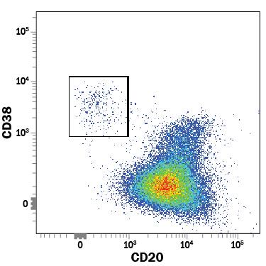 Detection of CD38 antibody in Human PBMCs gated on CD19+CD3-cells antibody by Flow Cytometry.