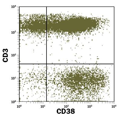Detection of CD38 antibody in Whole Blood Lymphocytes antibody by Flow Cytometry.