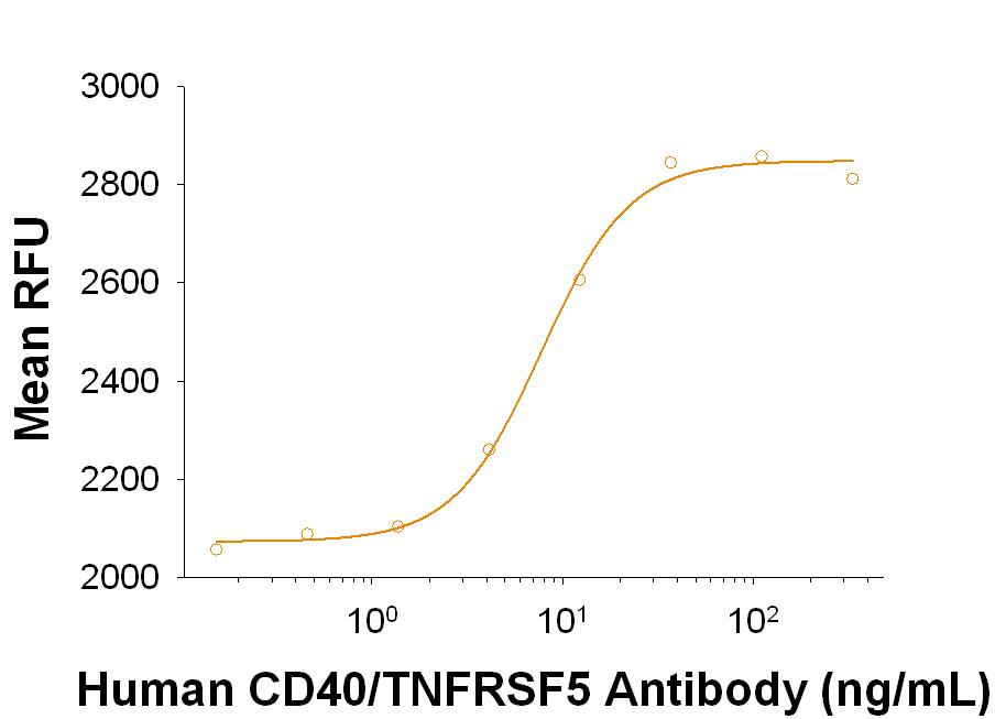 Human CD40/TNFRSF5 Antibody Stimulates Cell Proliferation antibody in Human B Cells.