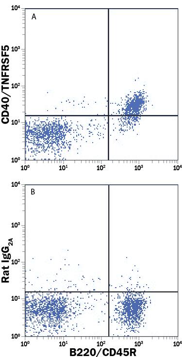 Detection of CD40/TNFRSF5 antibody in Mouse Splenocytes antibody by Flow Cytometry.