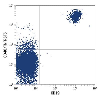 Detection of CD40/TNFRSF5 antibody in Human Blood Lymphocytes antibody by Flow Cytometry.