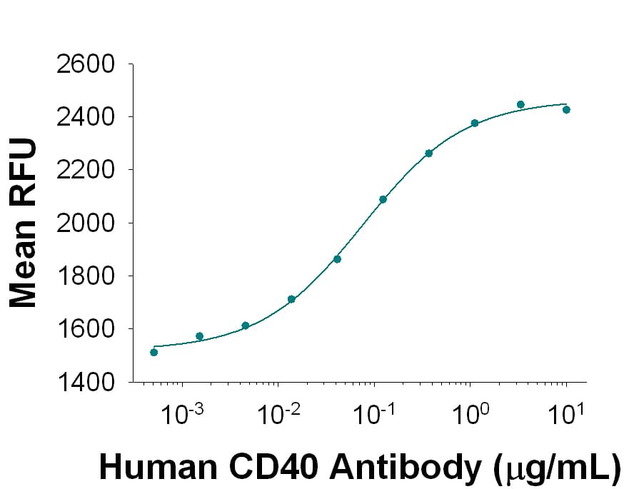 Human CD40/TNFRSF5 Antibody Stimulates Cell Proliferation antibody in Human B Cells.