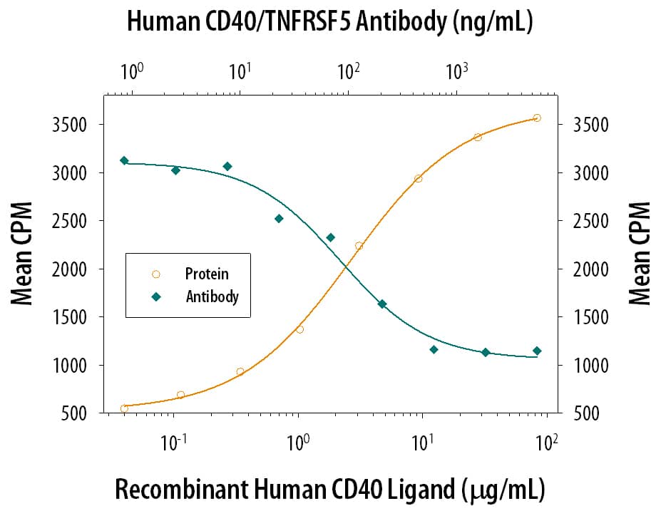 Cell Proliferation Induced by CD40 Ligand/TNFSF5 and Neutralization by Human CD40/TNFRSF5 Antibody.