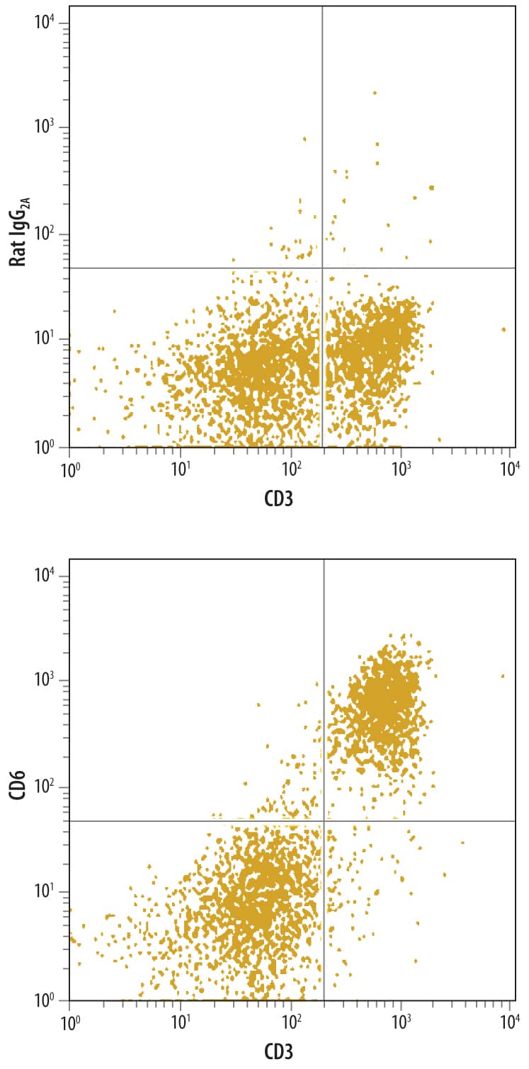 Detection of CD6 antibody in Mouse Splenocytes antibody by Flow Cytometry.