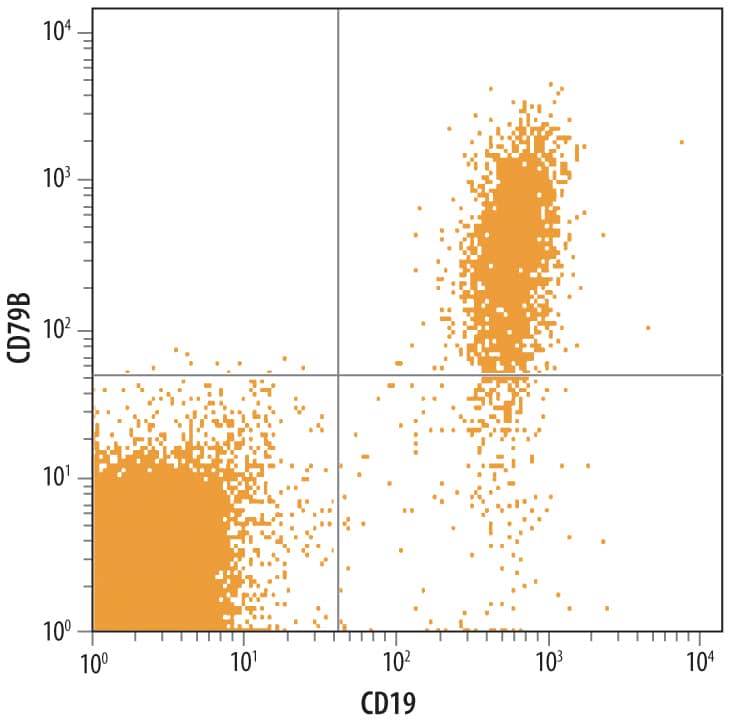 Detection of CD79B antibody in Human peripheral blood lymphocytes antibody by Flow Cytometry.