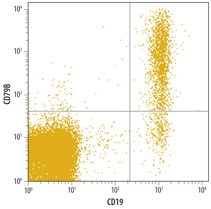 Detection of CD79B antibody in Human Blood Lymphocytes antibody by Flow Cytometry.