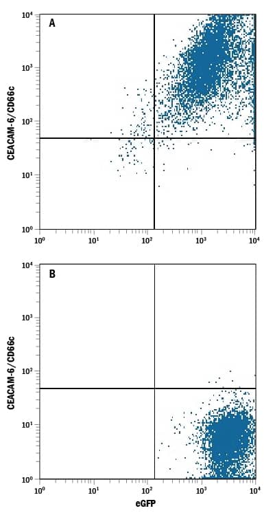 Detection of CEACAM-6/CD66c antibody in HEK293 Human Cell Line Transfected with Human CEACAM-6/CD66c and eGFP antibody by Flow Cytometry.