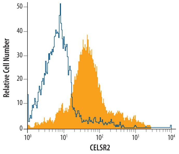 Detection of CELSR2 antibody in SH-SY5Y Human Cell Line antibody by Flow Cytometry.
