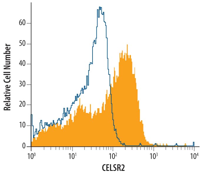 Detection of CELSR2 antibody in bEnd.3 Mouse Cell Line antibody by Flow Cytometry.