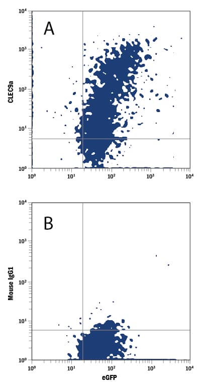 Detection of CLEC9a antibody in HEK293 Human Cell Line Transfected with Human CLEC9a and eGFP antibody by Flow Cytometry.