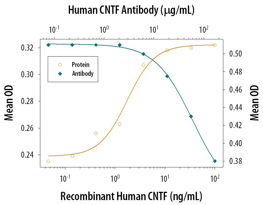 Neuron Survival antibody in Response to CNTF and Neutralization by Human CNTF Antibody.