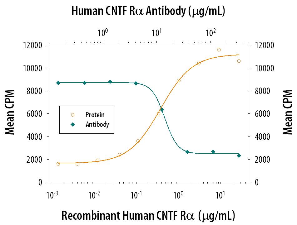 CNTF R alpha Enhancement of CNTF-dependent Cell Proliferation and Neutral-ization by Human CNTF R alpha Antibody.