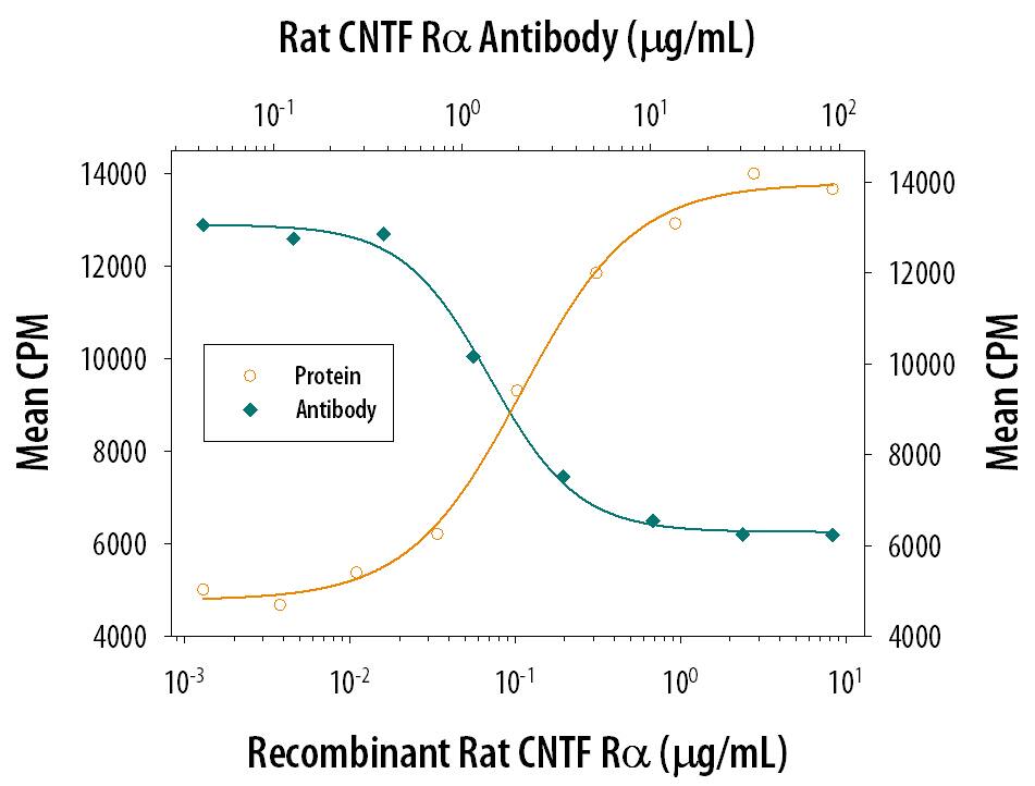 CNTF R alpha Enhancement of CNTF-dependent Cell Proliferation and Neutralization by Rat CNTF R alpha Antibody.