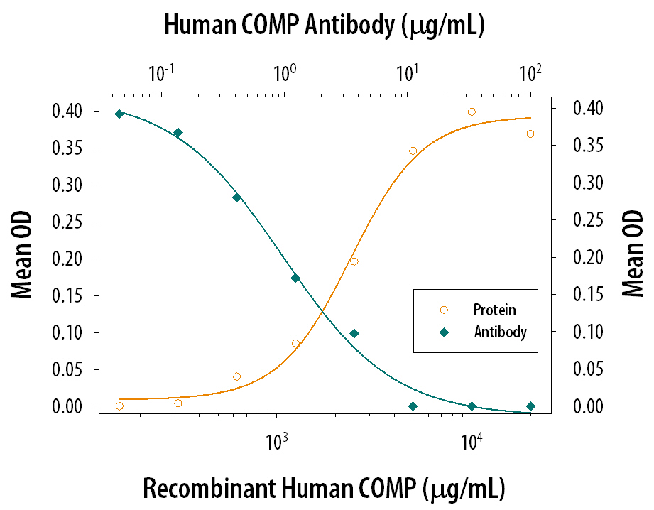Cell Adhesion Mediated by COMP/Thrombospondin‑5 and Neutralization by Human COMP/Thrombospondin‑5 Antibody.