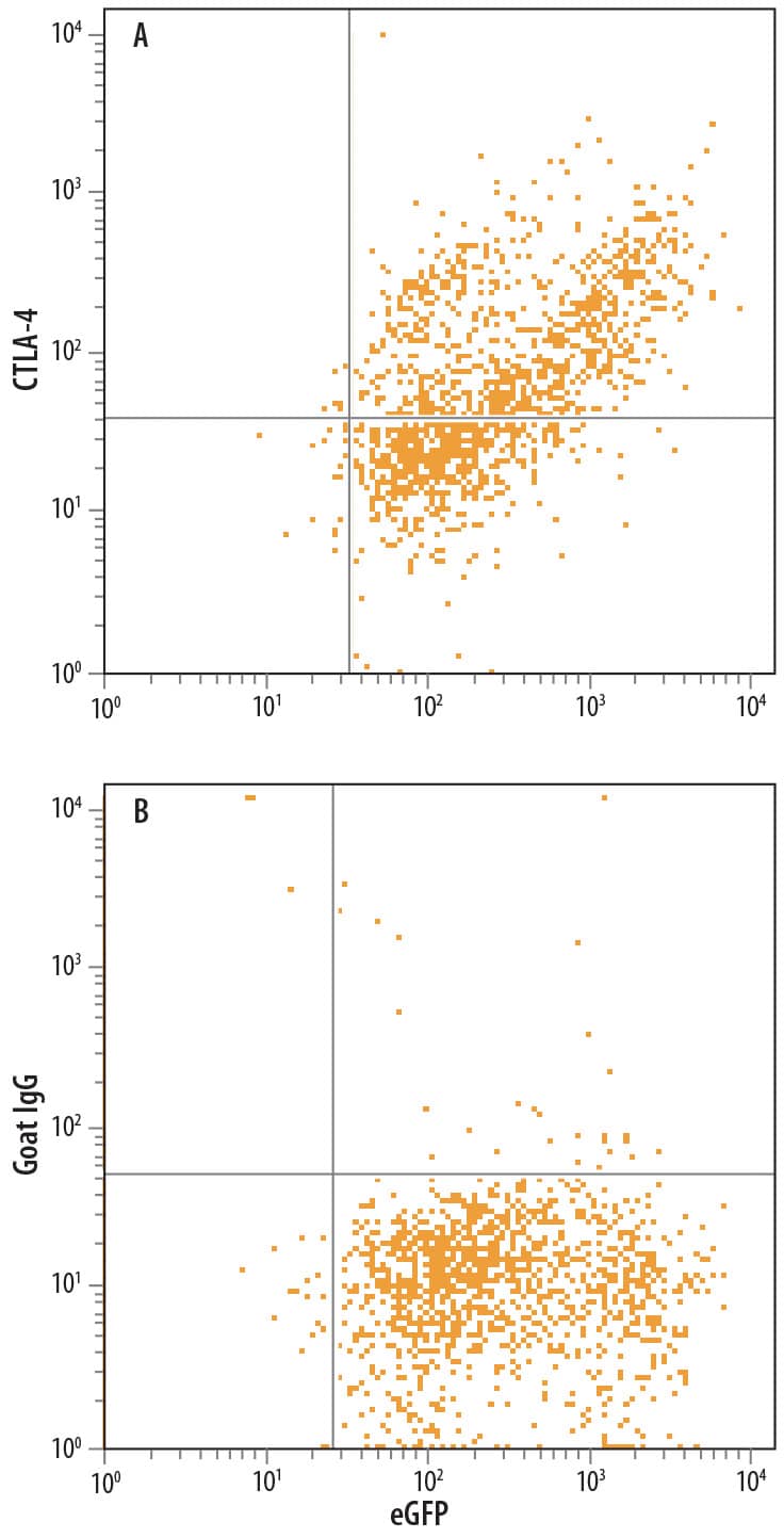 Detection of CTLA-4 antibody in NS0 Mouse Cell Line Co-transfected with CTLA-4 and eGFP antibody by Flow Cytometry.