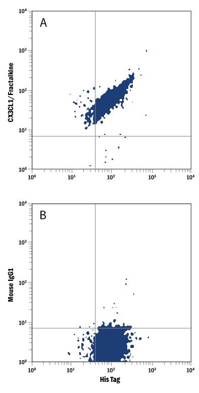 Detection of CX3CL1/Fractalkine antibody in NS0 Mouse Cell Line Transfected with His-tagged Human CX3CL1 antibody by Flow Cytometry.