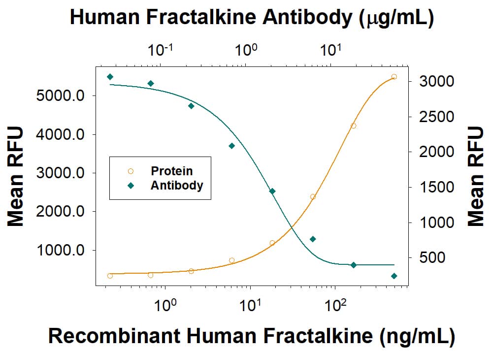 Chemotaxis Induced by CX3CL1/Fractalkine and Neutralization by Human CX3CL1/Fractalkine Antibody.