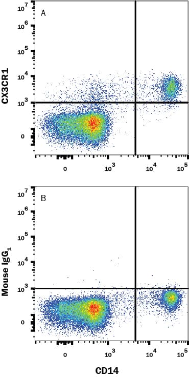 Detection of CX3CR1 antibody in Human PBMC antibody by Flow Cytometry.