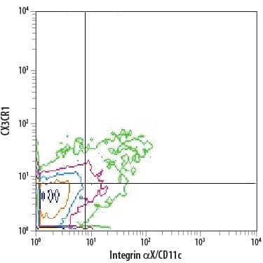 Detection of CX3CR1 antibody in Mouse Splenocytes antibody by Flow Cytometry.