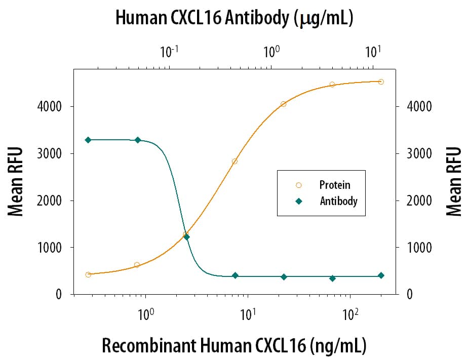 Chemotaxis Induced by CXCL16 and Neutralization by Human CXCL16 Antibody.