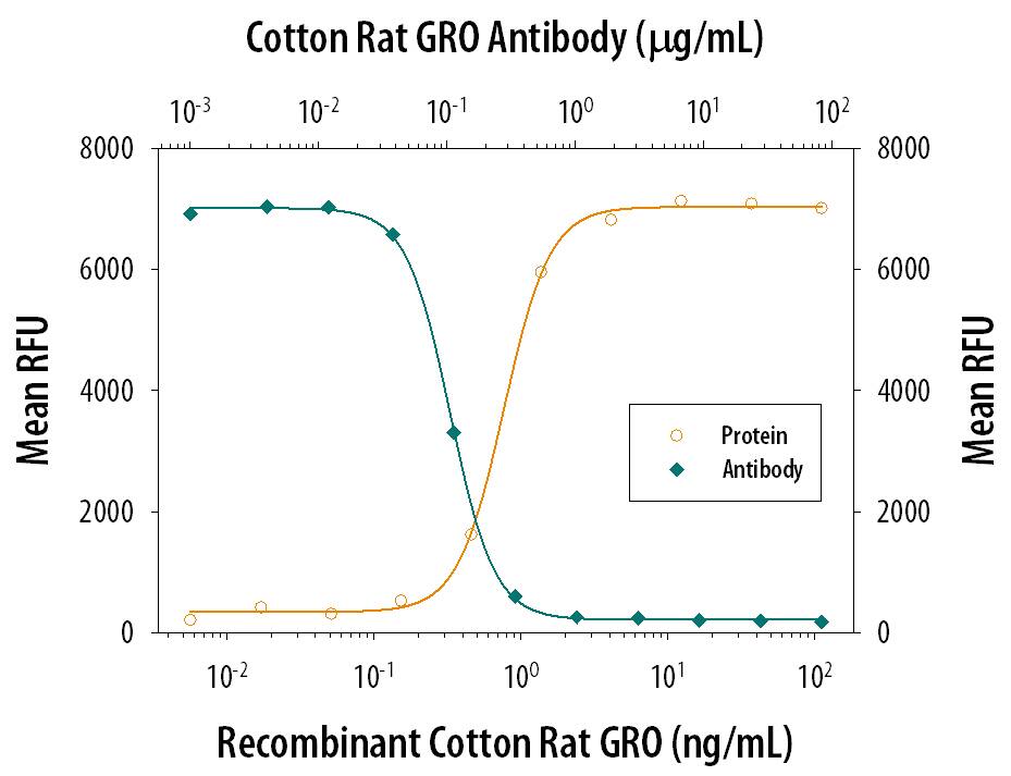 Chemotaxis Induced by CXCL1/2/3/GRO and Neutralization by Cotton Rat CXCL1/2/3/GRO Antibody.