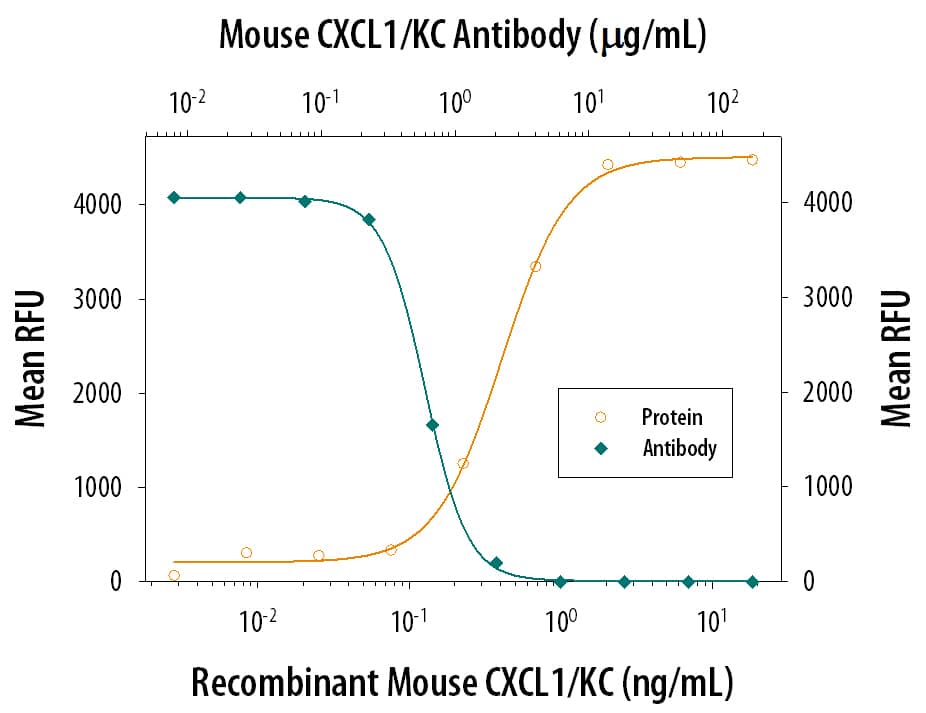 Chemotaxis Induced by CXCL1/KC and Neutralization by Mouse CXCL1/KC Antibody.