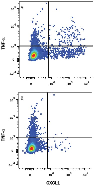 Detection of CXCL1/GROa/KC/CINC-1 antibody in Mouse Splenocytes antibody by Flow Cytometry.