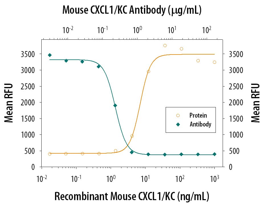 Chemotaxis Induced by CXCL1/GRO alpha/KC/CINC‑1 and Neutralization by Mouse CXCL1/GRO alpha/KC/CINC‑1 Antibody.