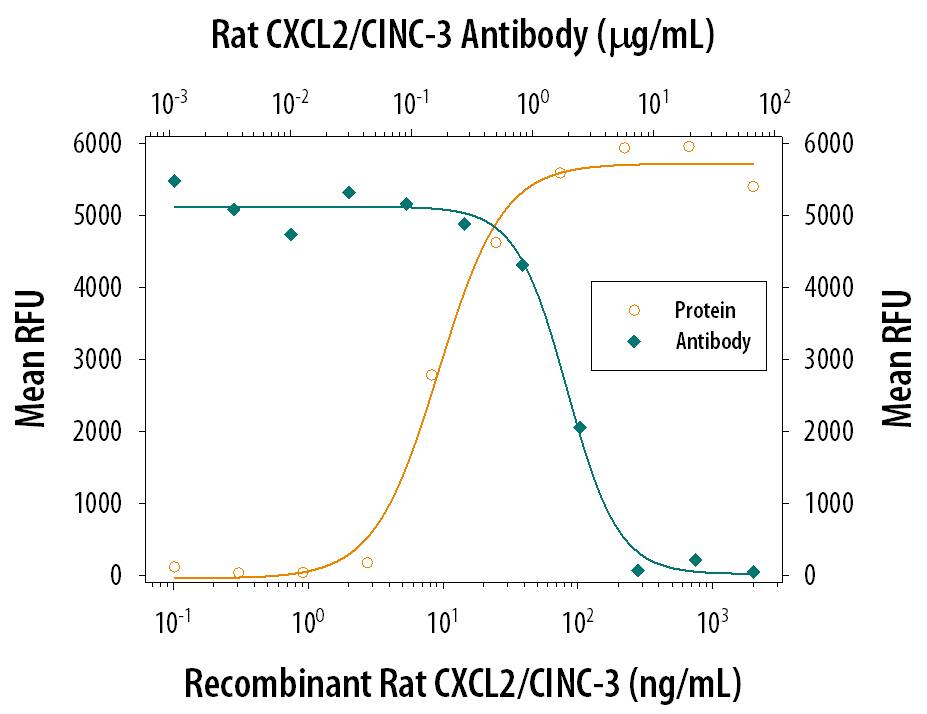 Chemotaxis Induced by CXCL2/CINC-3 and Neutralization by Rat CXCL2/CINC-3 Antibody.