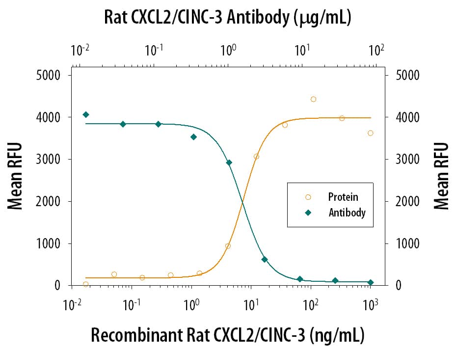 Chemotaxis Induced by CXCL2/CINC‑3 and Neutral-ization by Rat CXCL2/ CINC‑3 Antibody.