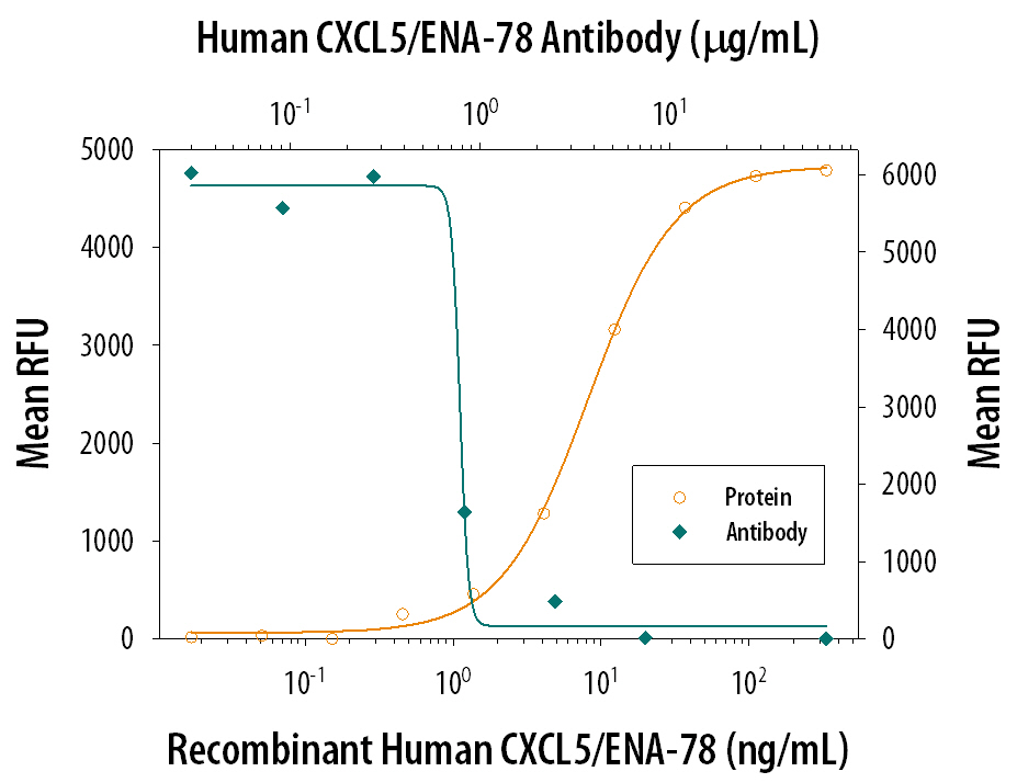 Chemotaxis Induced by CXCL5/ENA‑78 and Neutralization by Human CXCL5/ENA‑78 Antibody.